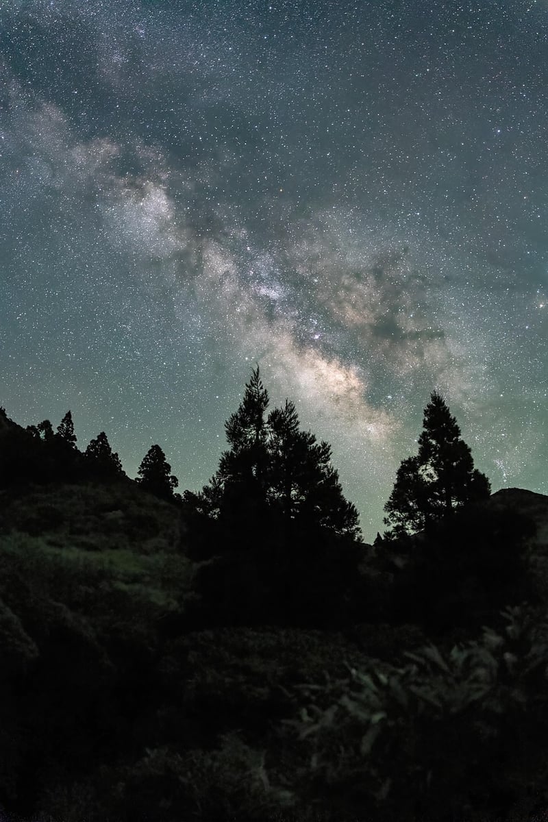 Galaxy Attire